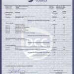 Beerkens_Marcel_DCC_Transcript_Page_1